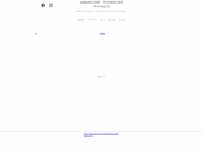 amandinetournier.com snapshot