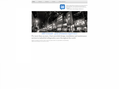 sbt-consult.com snapshot