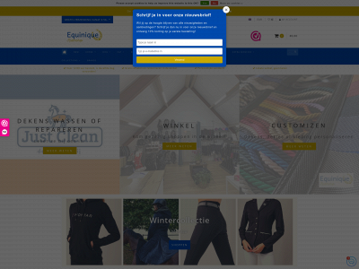 equinique.nl snapshot