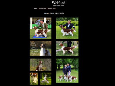 welford.se snapshot