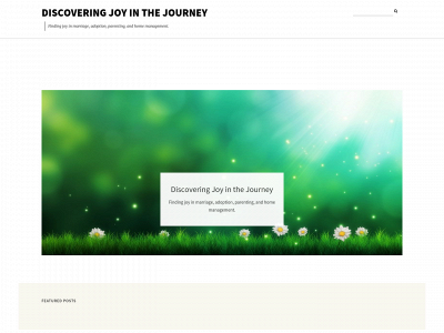 discoveringjoyinthejourney.com snapshot
