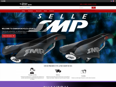damourbicycle.com snapshot