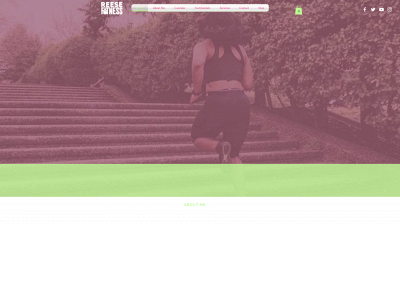reesefitness.com snapshot