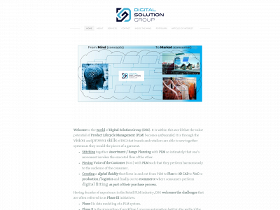 digitalsolutiongroup.net snapshot