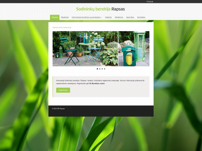 sbrapsas.lt snapshot