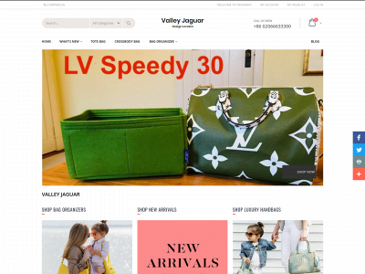 valleyjaguar.com snapshot