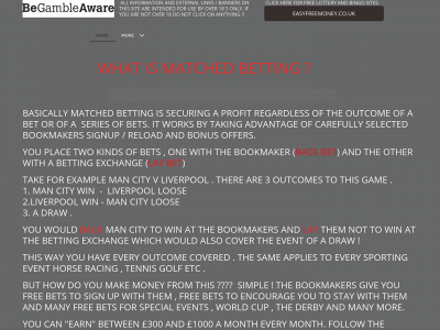 matched-betting-lay-betting.co.uk snapshot