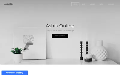 lxgshops.weebly.com snapshot