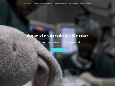 anaestesipraksis.dk snapshot