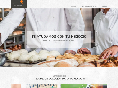generandoportunidades.com snapshot