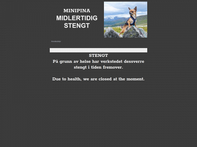 minipina.com snapshot