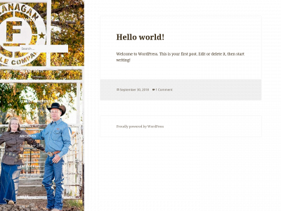 ranchmomblog.com snapshot