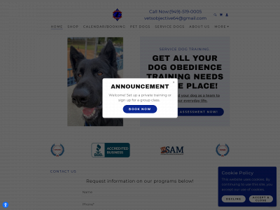 aveteransobjective.org snapshot