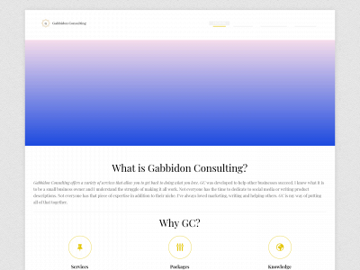 gabbidonconsulting.com snapshot