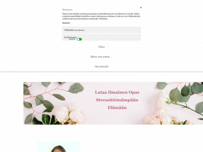 niinasarjanoja.com snapshot