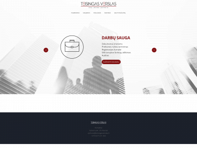 teisingasverslas.lt snapshot