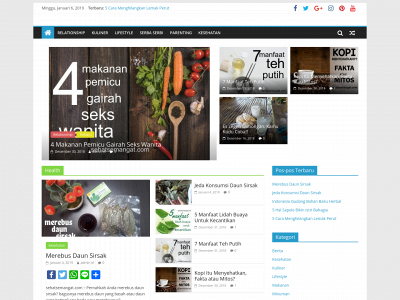 sehatsemangat.com snapshot