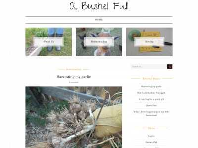 abushelfull.com snapshot