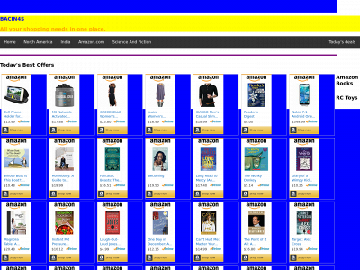 bacin4s.website snapshot