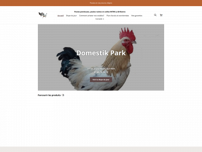 domestikpark.com snapshot