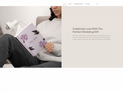 newbiewed.com snapshot