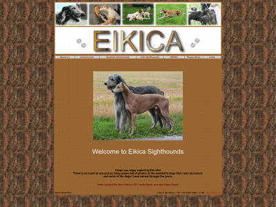 eikica.dk snapshot