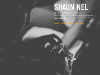 shaunnel.com snapshot