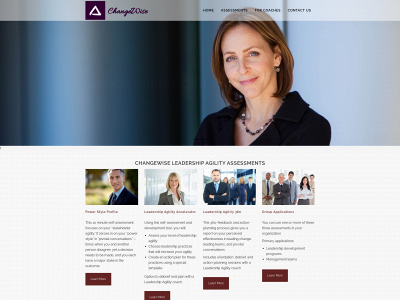 assessleadershipagility.com snapshot