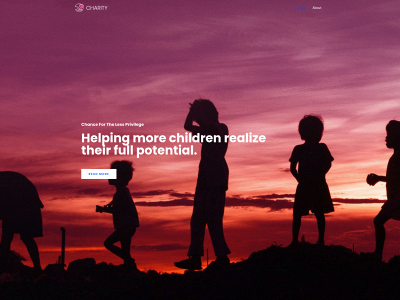 chanceforthelessprivilege.org snapshot