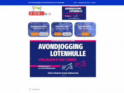 loovereenigdt.be snapshot