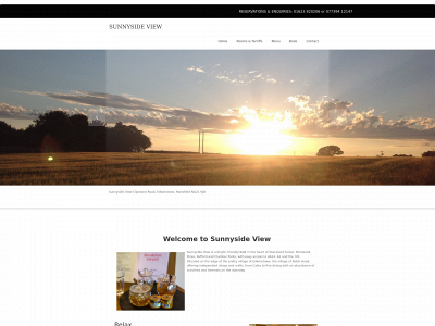 sunnysideview.co.uk snapshot