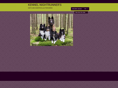 nightrunners.se snapshot