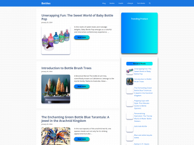 bottals.com snapshot