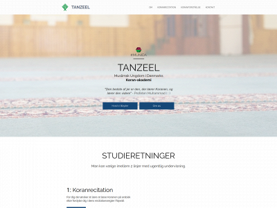 tanzeel.dk snapshot