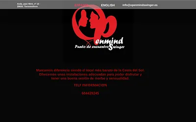 openmindswinger.es snapshot