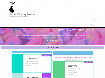 neikascleaning.com snapshot