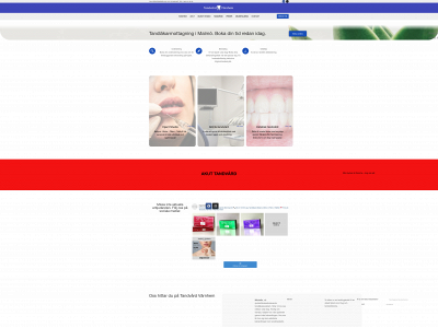 tandhem.se snapshot