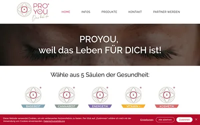 proyou.de snapshot