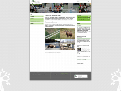 iene.se snapshot