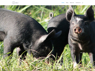 berkshirefarmsllc.com snapshot