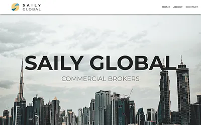 sailyglobal-cb.ae snapshot