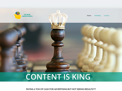 theonlinecontentexperts.com snapshot