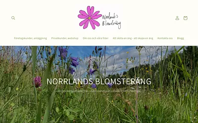 blomsterang.se snapshot