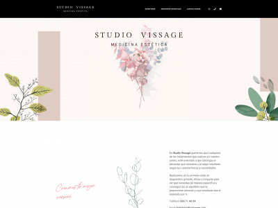 studiovissage.com snapshot