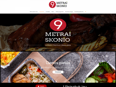 9metraiskonio.lt snapshot