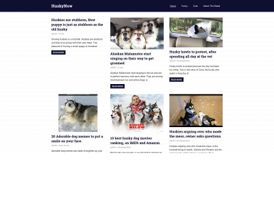 huskynow.com snapshot