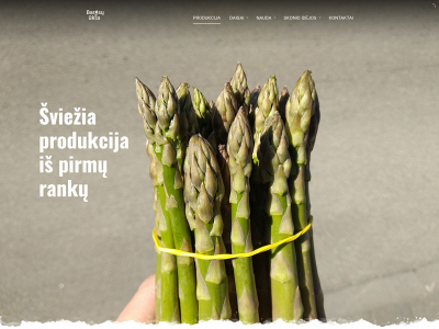 sparagas.lt snapshot