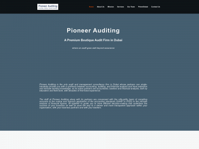 pioneerauditing.com snapshot