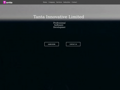 tantainnovatives.com snapshot