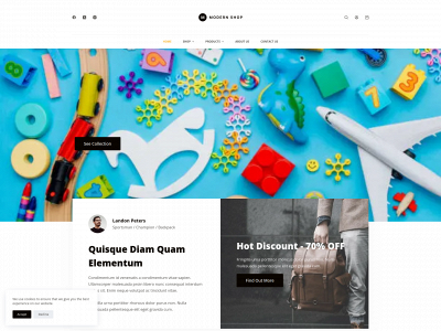 premiumtoys.online snapshot
